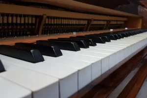 Piano-Playel_16