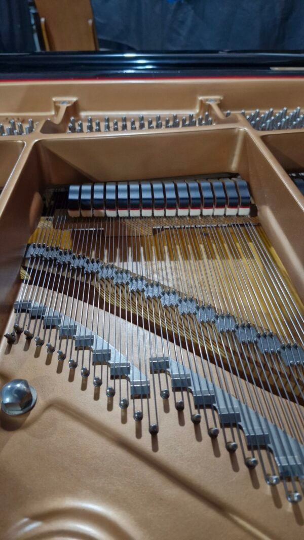 Piano de Cauda Yamaha C5 USADO (1999) - Imagem 19