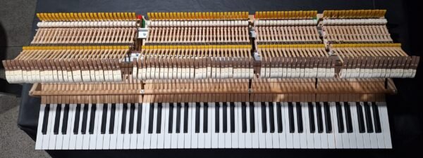 Piano de Cauda Yamaha C3 USADO (2011) - Imagem 17