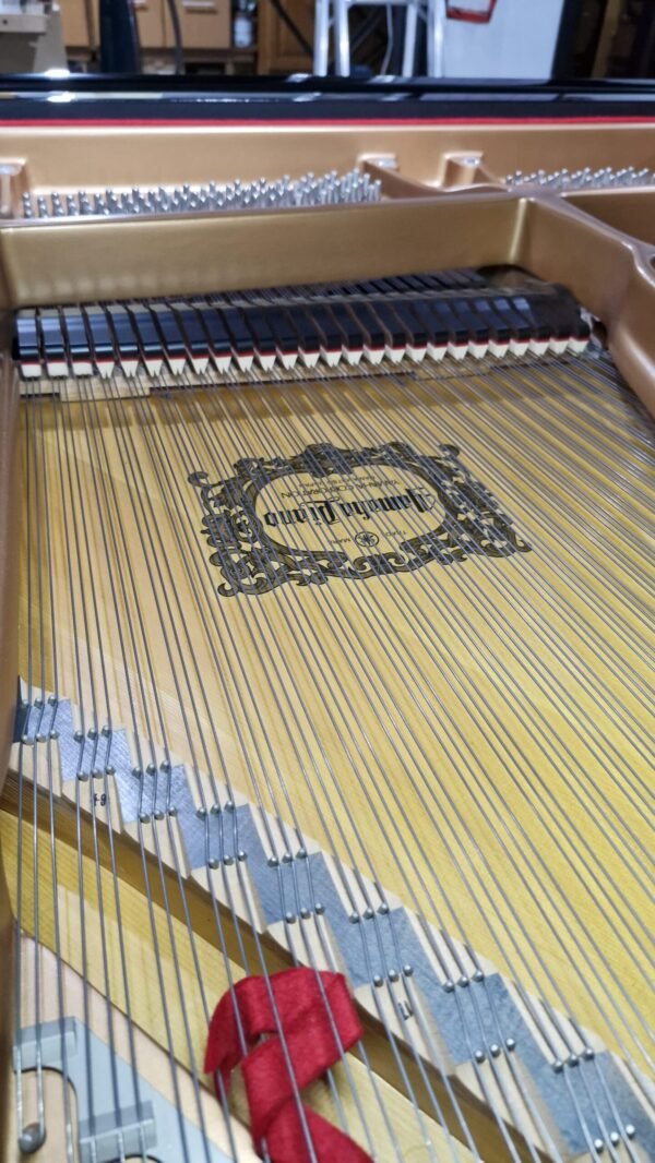 Piano de Cauda Yamaha C7 USADO (1995) - Imagem 14