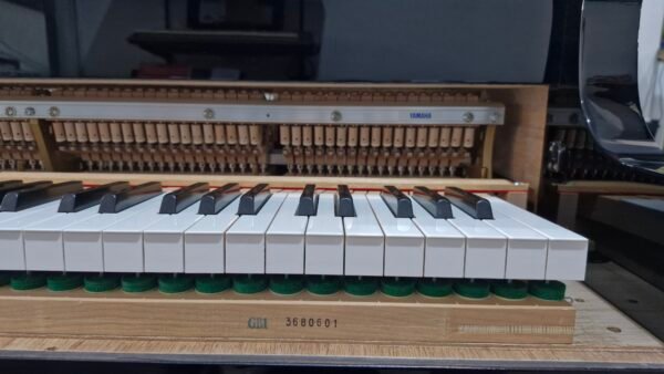 Piano de Cauda Yamaha GB1K - Usado 2021 - Imagem 10