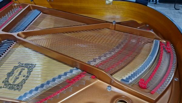 Piano de Cauda Yamaha GB1K - Usado 2021 - Imagem 6