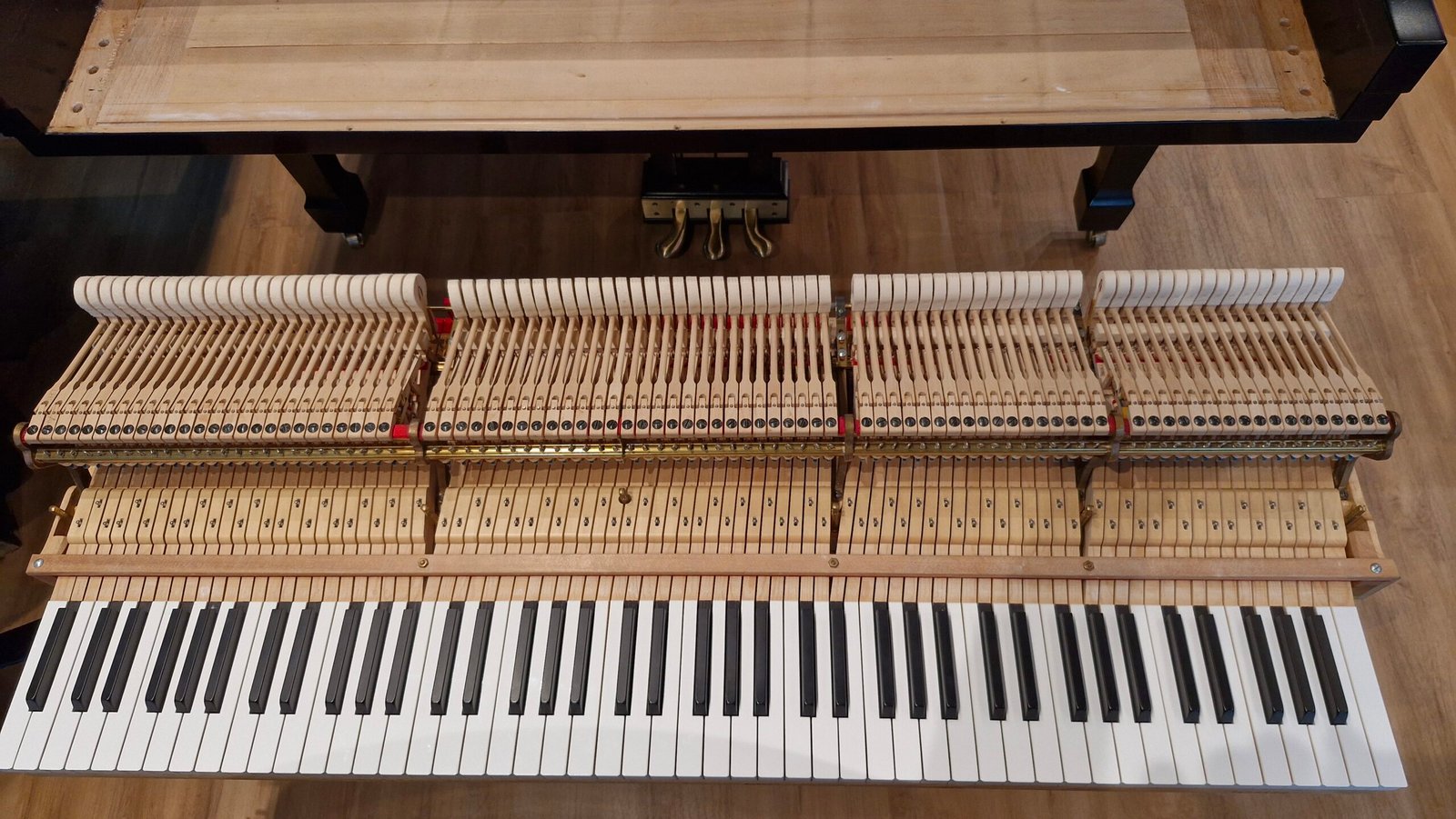 Piano de Cauda STEINWAY modelo S (2014) - Imagem 7