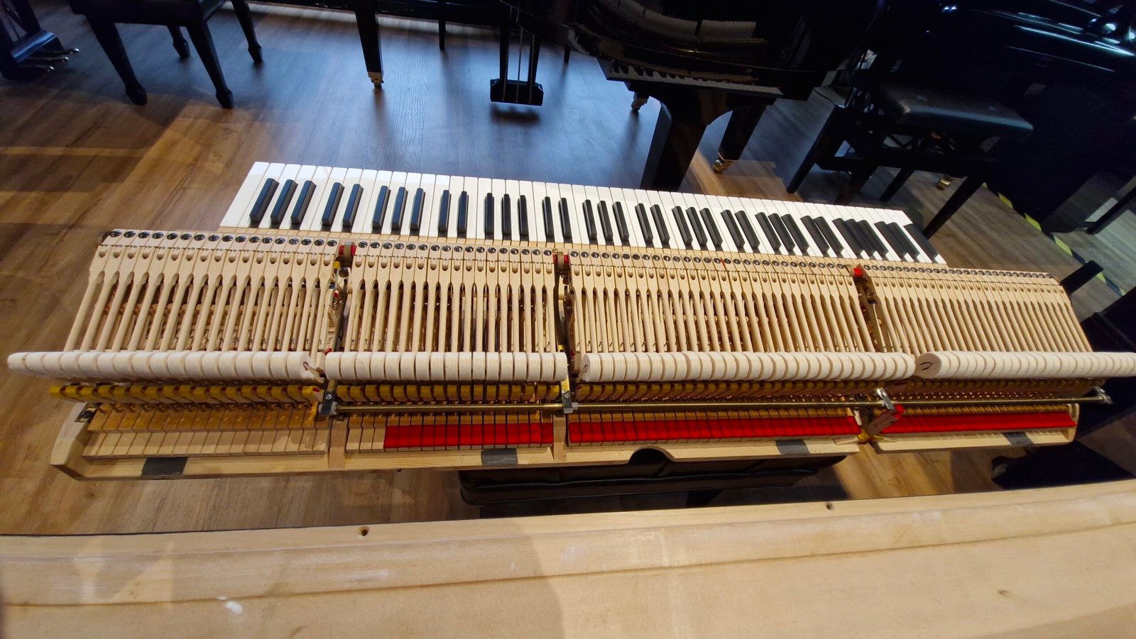 Piano de Cauda STEINWAY modelo S (2014) - Imagem 8